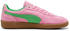Puma Palermo