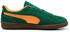 Puma Palermo