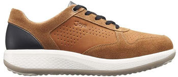 Joya Sneaker Joya Britt curry brown