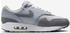 Nike Air Max 1 photon dust wolf/white smoke