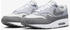 Nike Air Max 1 photon dust wolf/white smoke