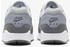Nike Air Max 1 photon dust wolf/white smoke