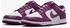 Nike Dunk Low Retro (DV0833-107) white/white/viotech