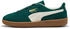 Puma Palermo