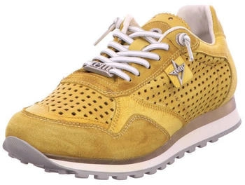 Cetti Sportliche Schnürschuhe gelb