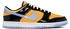 Nike Dunk Low Retro SE