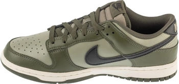 Nike Dunk Low Retro (HF5441-300) grün