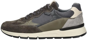 Nero Giardini E101990U 207 oliv