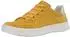 Ara Rom corn,cream13