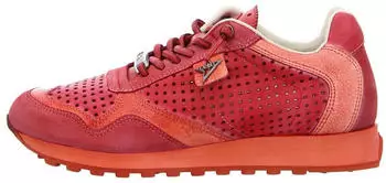 Cetti C848 Sneaker Men Leather Perforated rosso used tin
