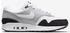 Nike Air Max 1