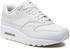 Nike Air Max 1