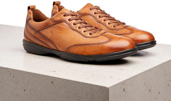 LLOYD Bern (11-037) brown
