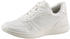Tamaris Low Top Trainers (1-1-23746-28)