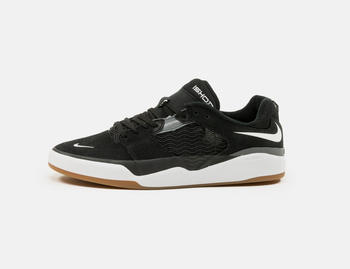 Nike SB Ishod Wair (DC7232) smoke grey/black