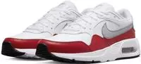 Nike CW4555, NIKE Herren Freizeitschuhe AIR MAX SC Grau male