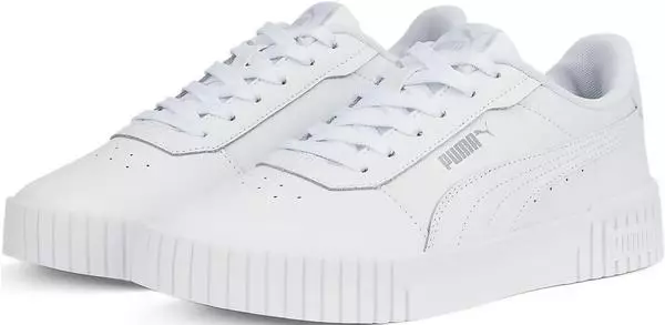 Puma carina erfahrungen sales