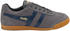 Gola Harrier
