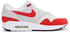 Nike Air Max 1