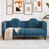 vidaXL Sofa mit Kissen 2-Sitzer Blau Samt (372640)