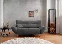 Home affaire 2-Sitzer "Drago, komfortable Wellenunterfederung, Breite 173cm,