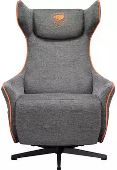 Cougar Magus grey