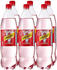 Schweppes Russian Wild Berry