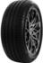 Delinte DS2 205/55 R17 95W XL