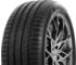 Delinte DS2 205/55 R17 95W XL