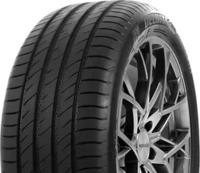 225/45 ZR19 96W DS2 XL