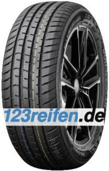 Doublestar DH03 205/45 R17 88W XL