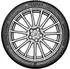 Bridgestone Potenza Sport Evo 315/35 R21 111Y XL