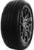 Delinte DS 2 185/65 R15 88V