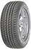 Goodyear EfficientGrip Performance 2
