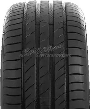 Delinte DS2 255/35 R19 96W XL (DLKU118796WM)