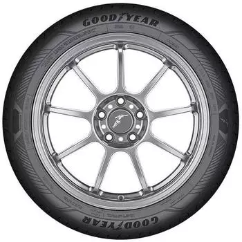 Goodyear EfficientGrip Performance 2 205/60 R16 96V XL