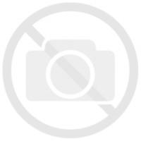 235/55 R20 102W EcoSport SUV
