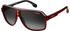 Carrera 1001/S