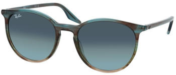 Ray-Ban RB2204 1394GK