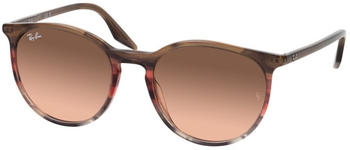 Ray-Ban RB2204 13953B