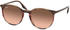Ray-Ban RB2204