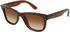 Ray-Ban Wayfarer Reverse RBR0502S