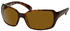 Ray-Ban RB4068