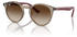braun, Verlaufsgläser: Ray-Ban RJ9064S