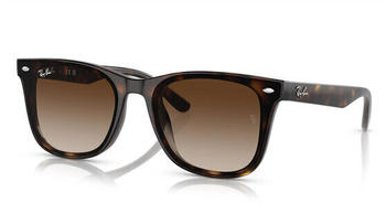 Ray-Ban RB4420 710/13