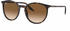 Ray-Ban RB2204 902/51
