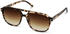 Kapten & Son Zurich Oversize crystal tortoise brown
