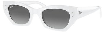 Ray-Ban Zena Bio-based RB4430 675911