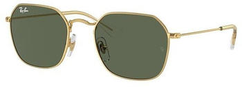 Ray-Ban RB9594S Kids 223/71