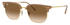Ray-Ban New Clubmaster RB4416